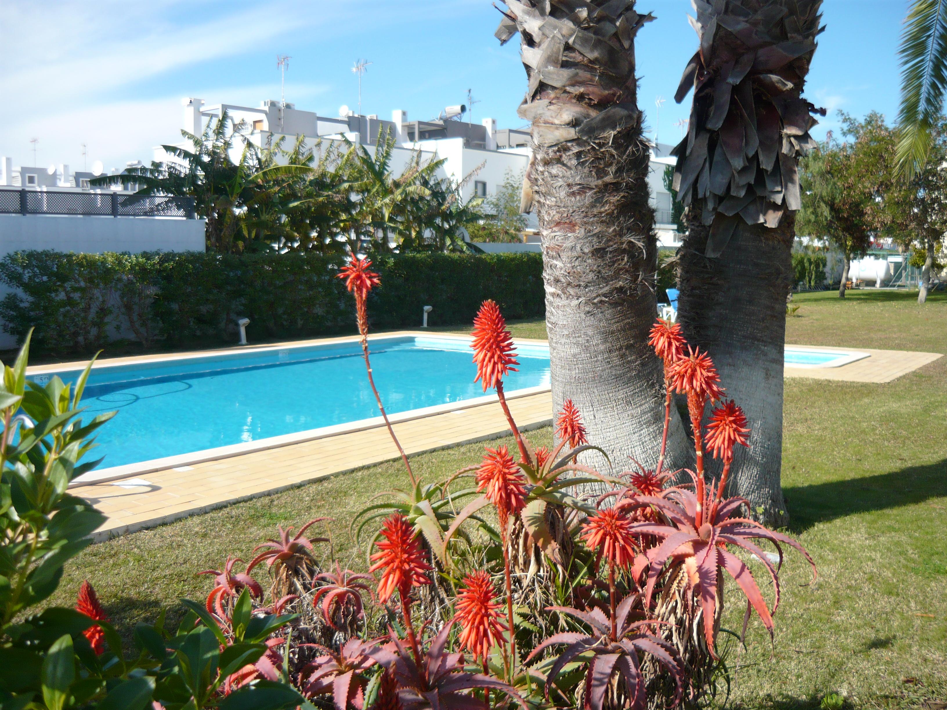 Praia Da Lota Resort - Beachfront Hotel 만타로타 외부 사진